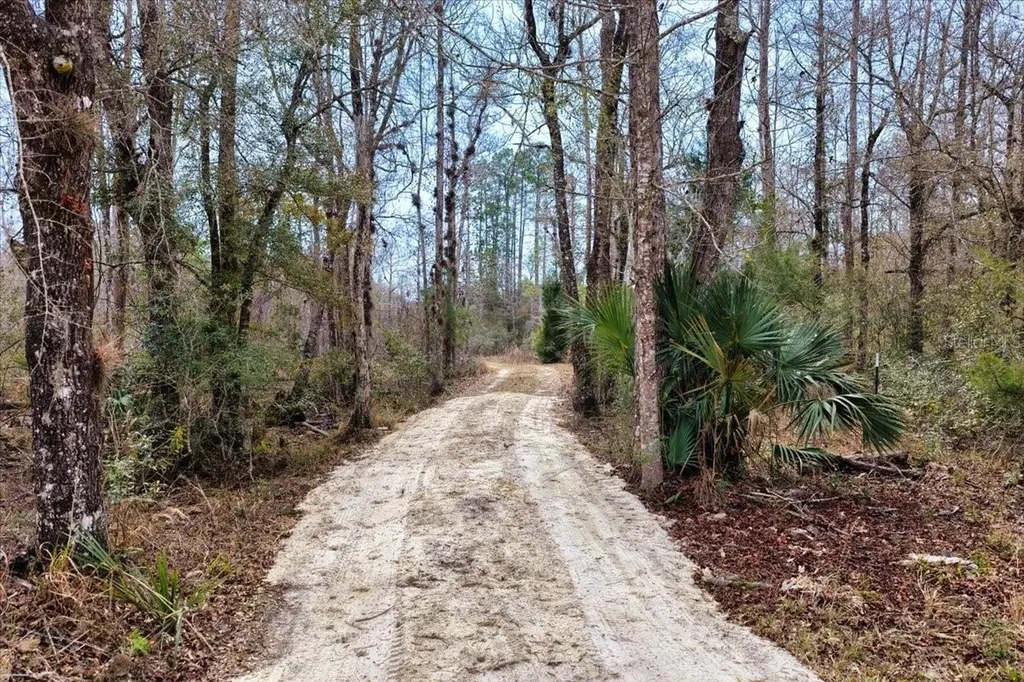60 Acres NW Clyatt Road Chiefland FL 32626
