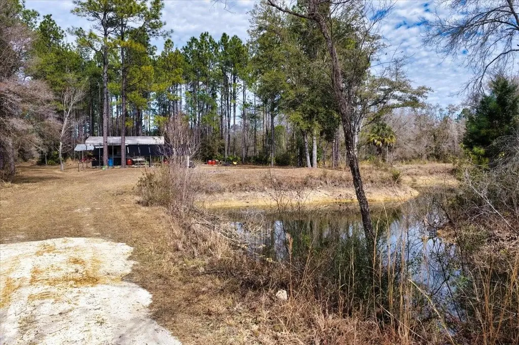 60 Acres NW Clyatt Road Chiefland FL 32626
