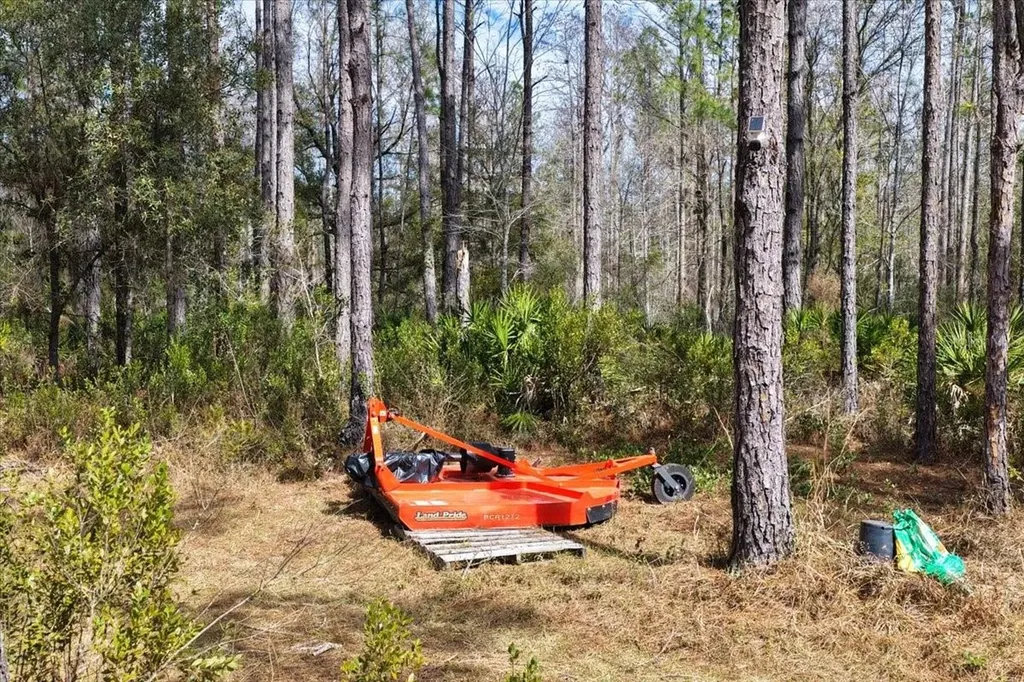 60 Acres NW Clyatt Road Chiefland FL 32626