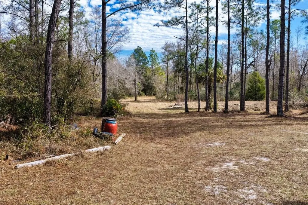 60 Acres NW Clyatt Road Chiefland FL 32626