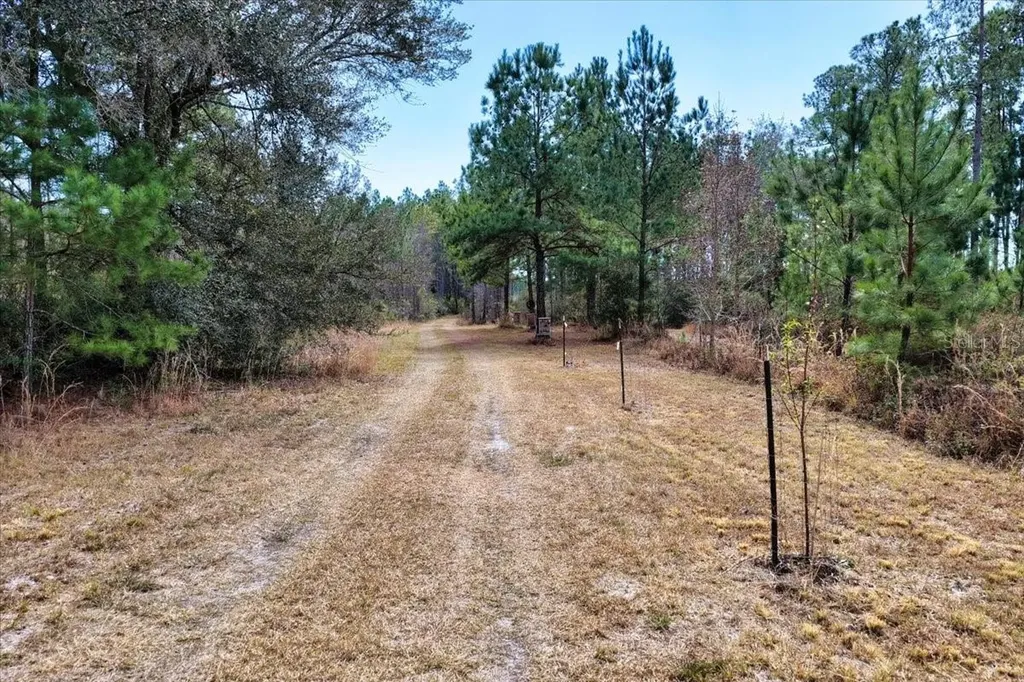 60 Acres NW Clyatt Road Chiefland FL 32626