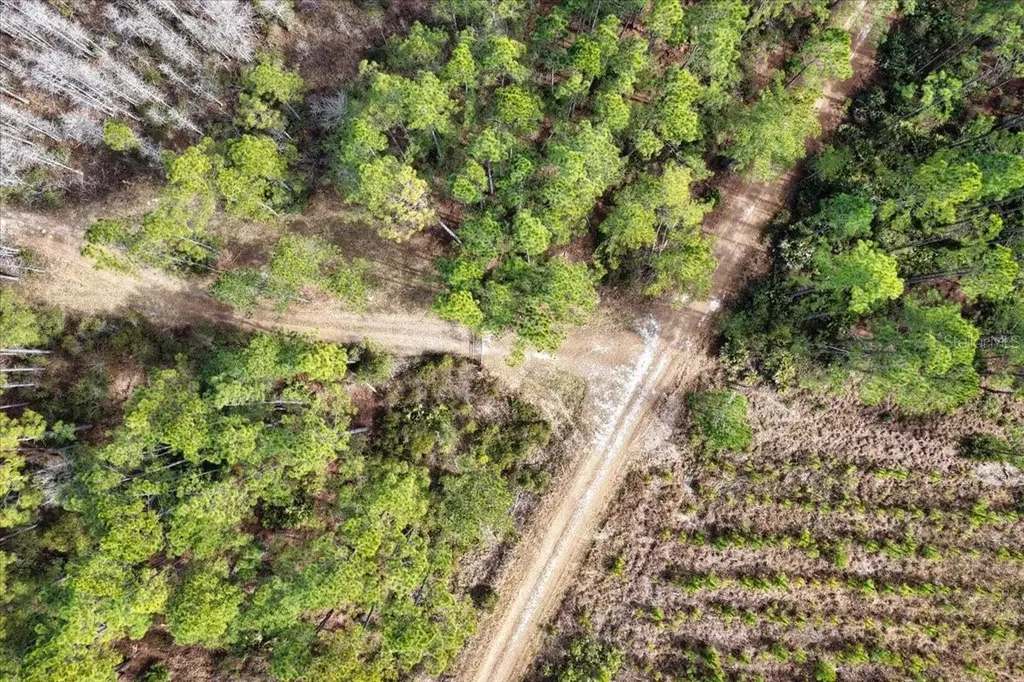 60 Acres NW Clyatt Road Chiefland FL 32626