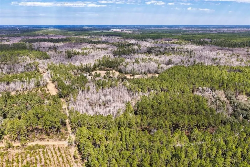 60 Acres NW Clyatt Road Chiefland FL 32626