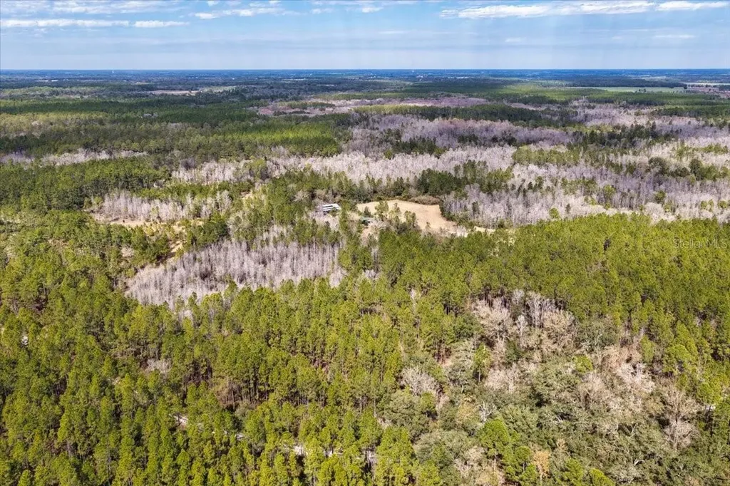 60 Acres NW Clyatt Road Chiefland FL 32626