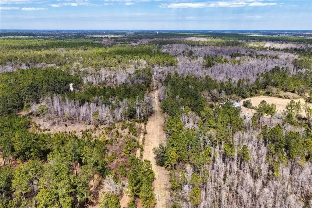 60 Acres NW Clyatt Road Chiefland FL 32626