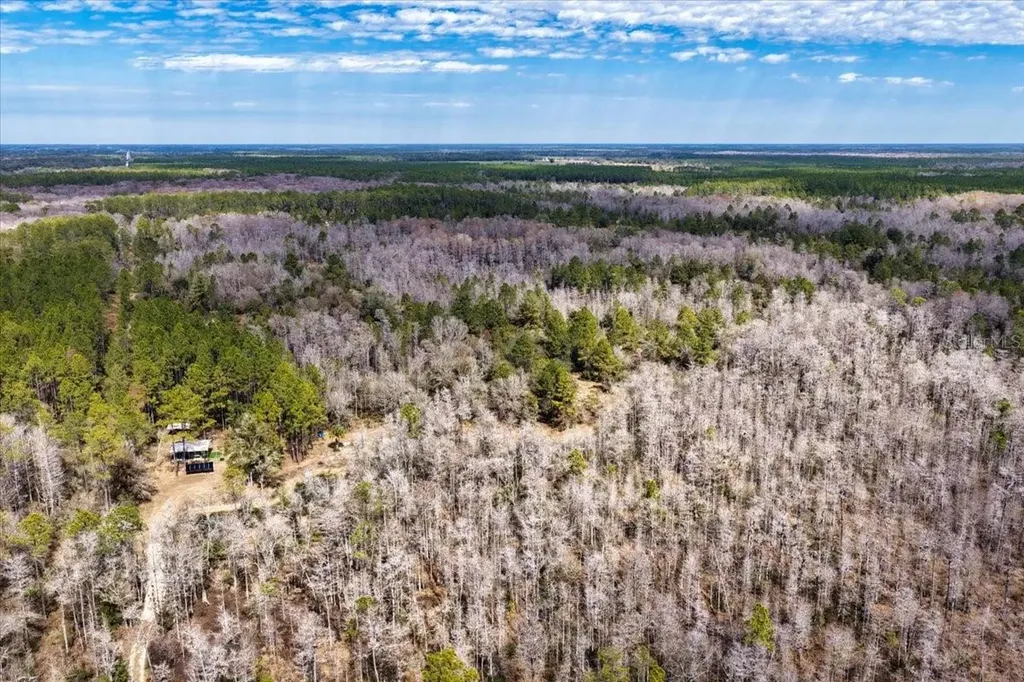 60 Acres NW Clyatt Road Chiefland FL 32626