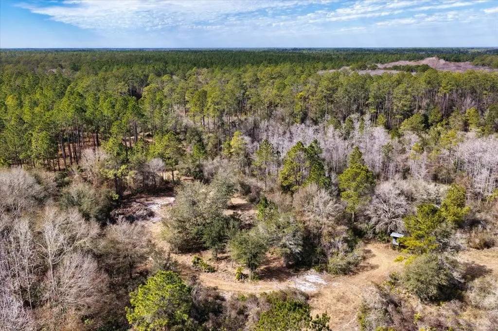 60 Acres NW Clyatt Road Chiefland FL 32626