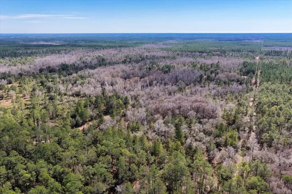 60 Acres NW Clyatt Road Chiefland FL 32626