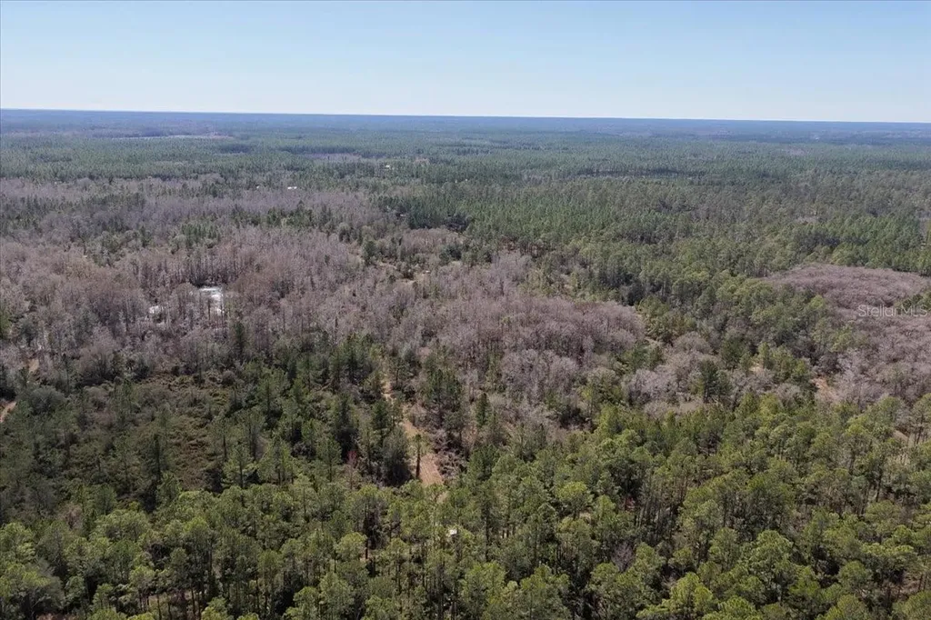 60 Acres NW Clyatt Road Chiefland FL 32626
