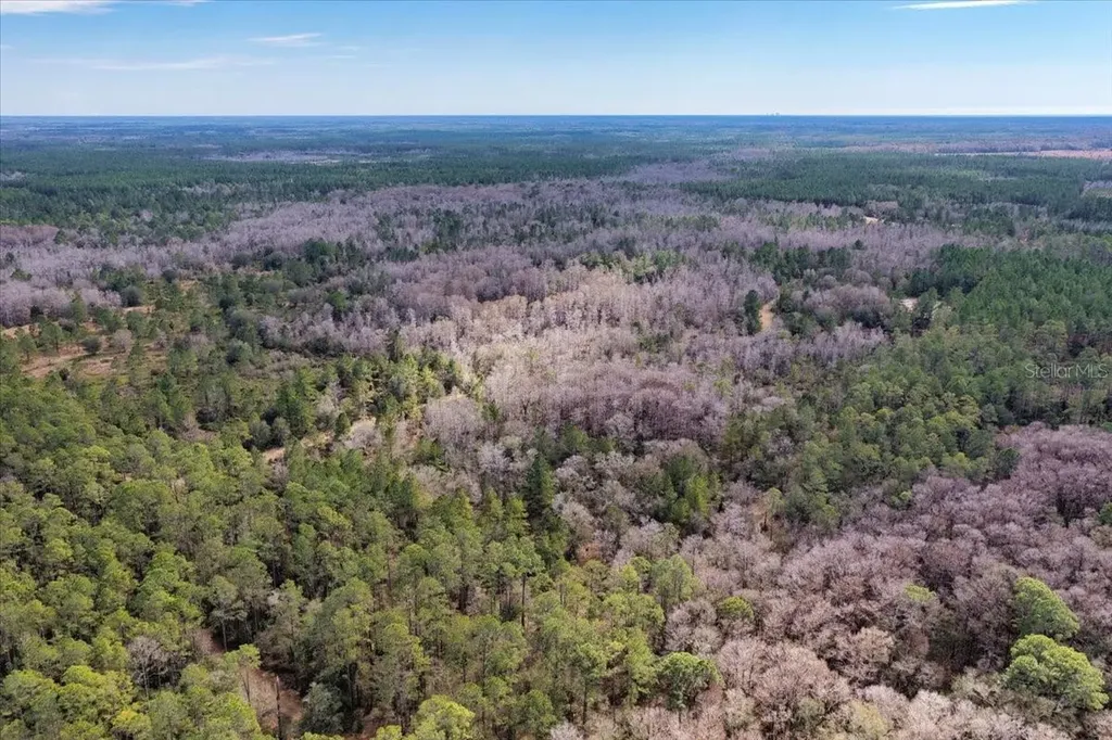 60 Acres NW Clyatt Road Chiefland FL 32626