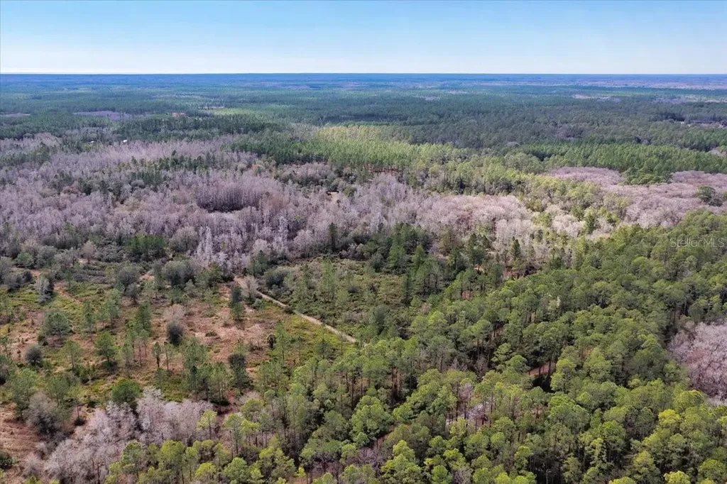 60 Acres NW Clyatt Road Chiefland FL 32626