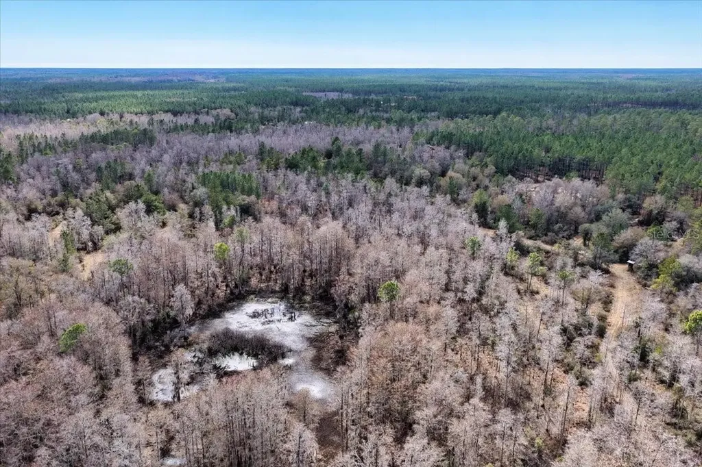 60 Acres NW Clyatt Road Chiefland FL 32626