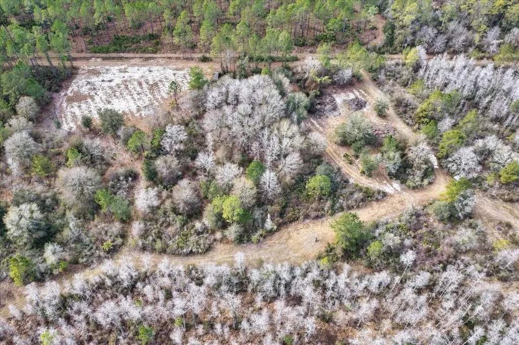 60 Acres NW Clyatt Road Chiefland FL 32626