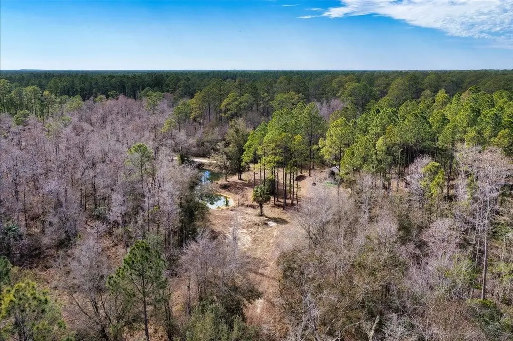 60 Acres NW Clyatt Road Chiefland FL 32626