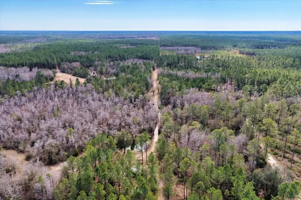 60 Acres NW Clyatt Road Chiefland FL 32626