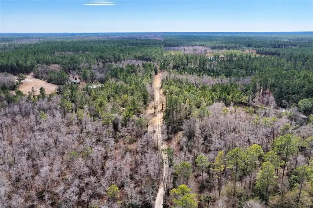 60 Acres NW Clyatt Road Chiefland FL 32626