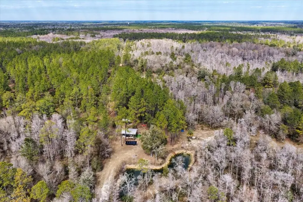 60 Acres NW Clyatt Road Chiefland FL 32626