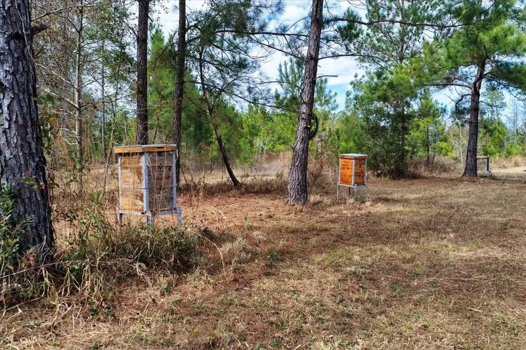 60 Acres NW Clyatt Road Chiefland FL 32626