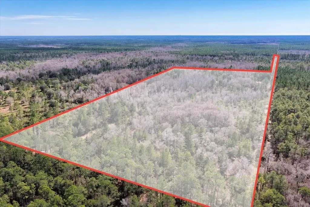 60 Acres NW Clyatt Road Chiefland FL 32626