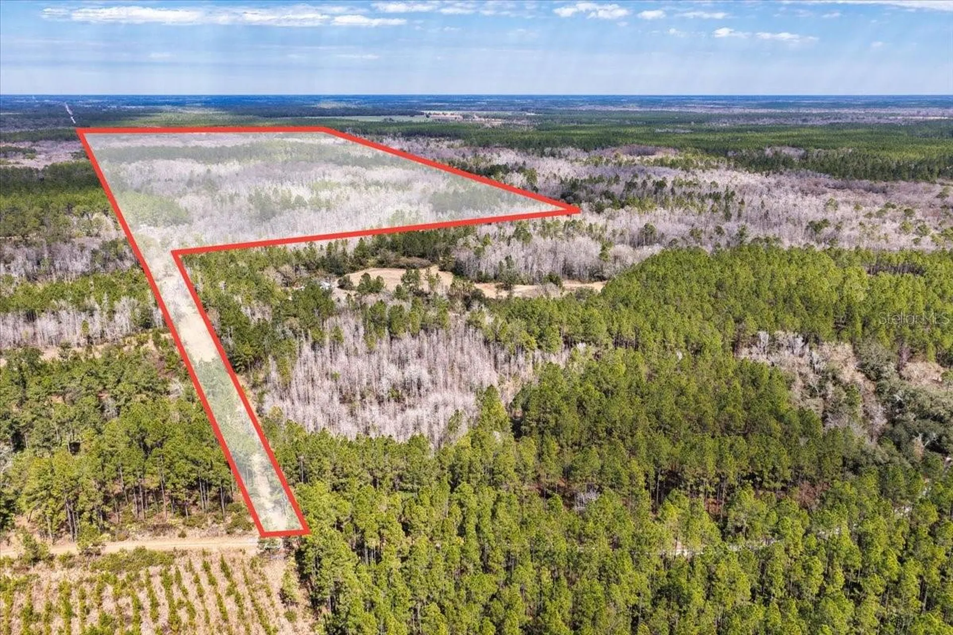 60 Acres NW Clyatt Road Chiefland FL 32626