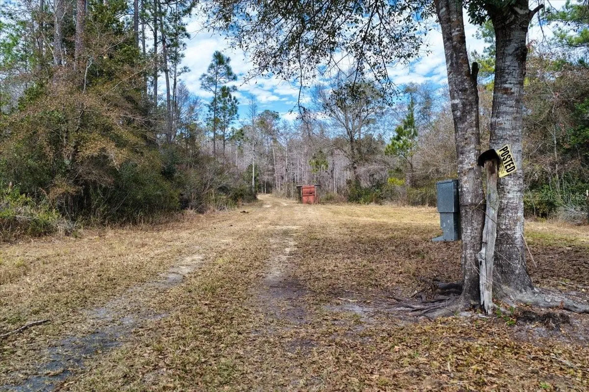60 Acres NW Clyatt Road Chiefland FL 32626