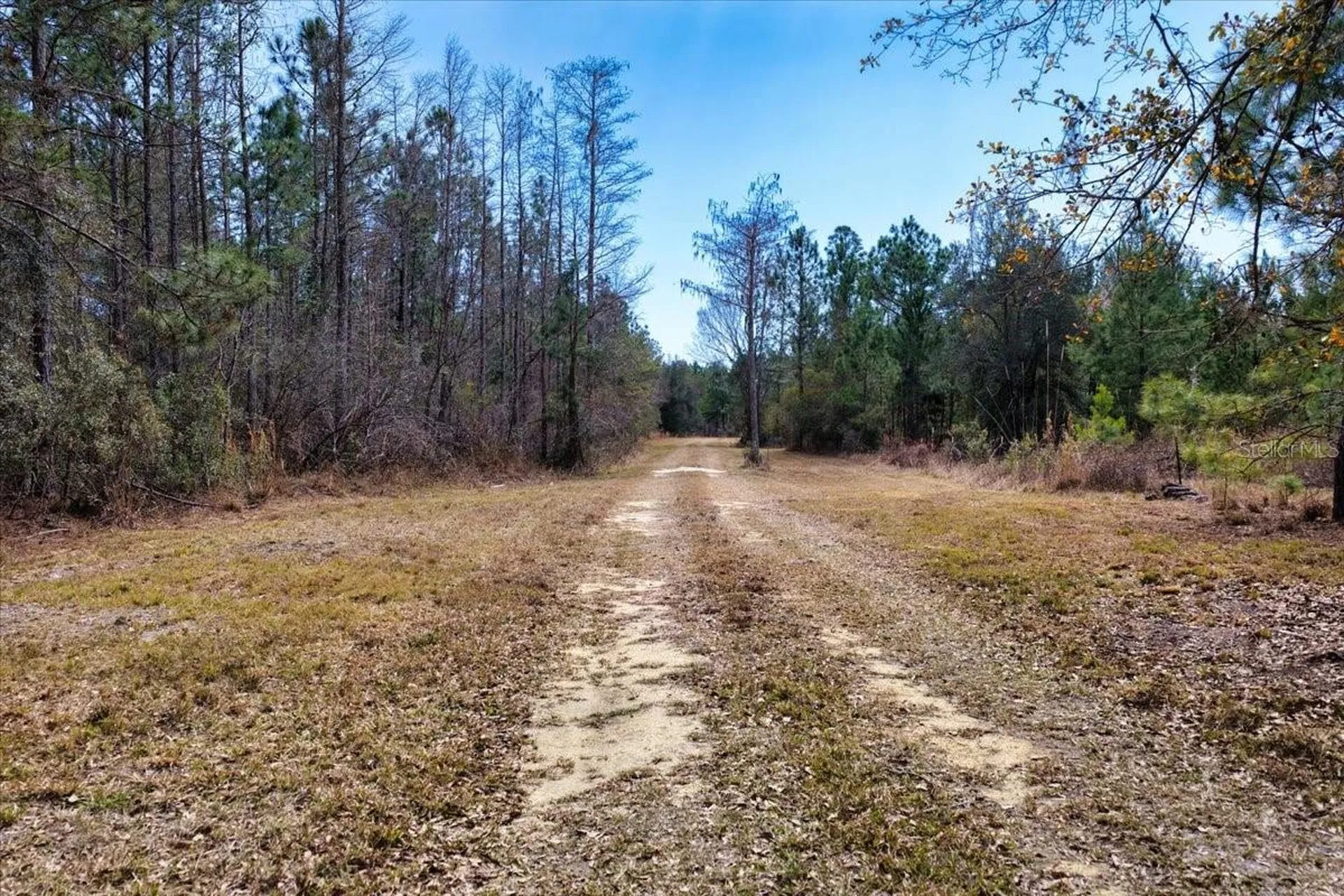 60 Acres NW Clyatt Road Chiefland FL 32626