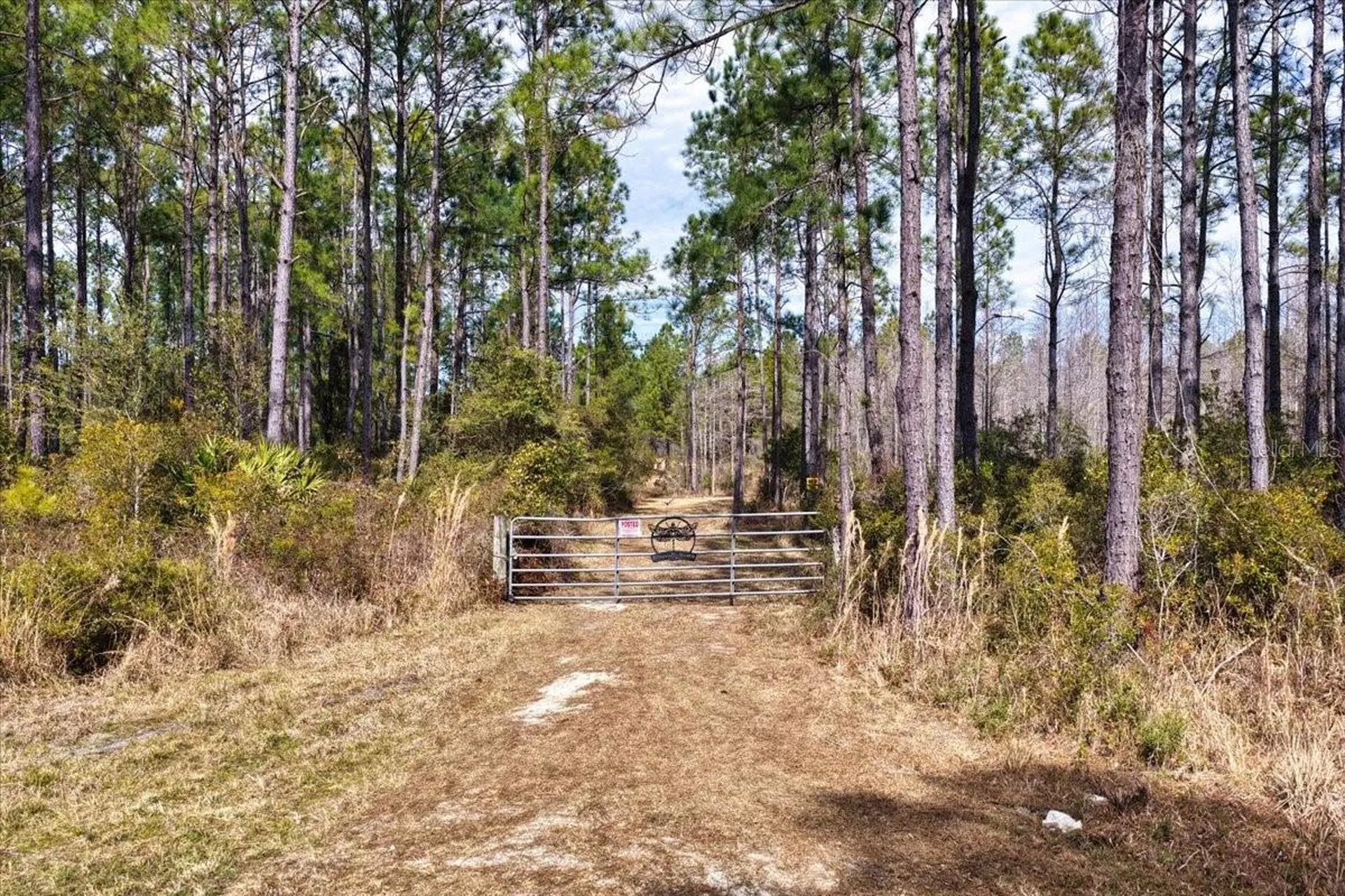 60 Acres NW Clyatt Road Chiefland FL 32626