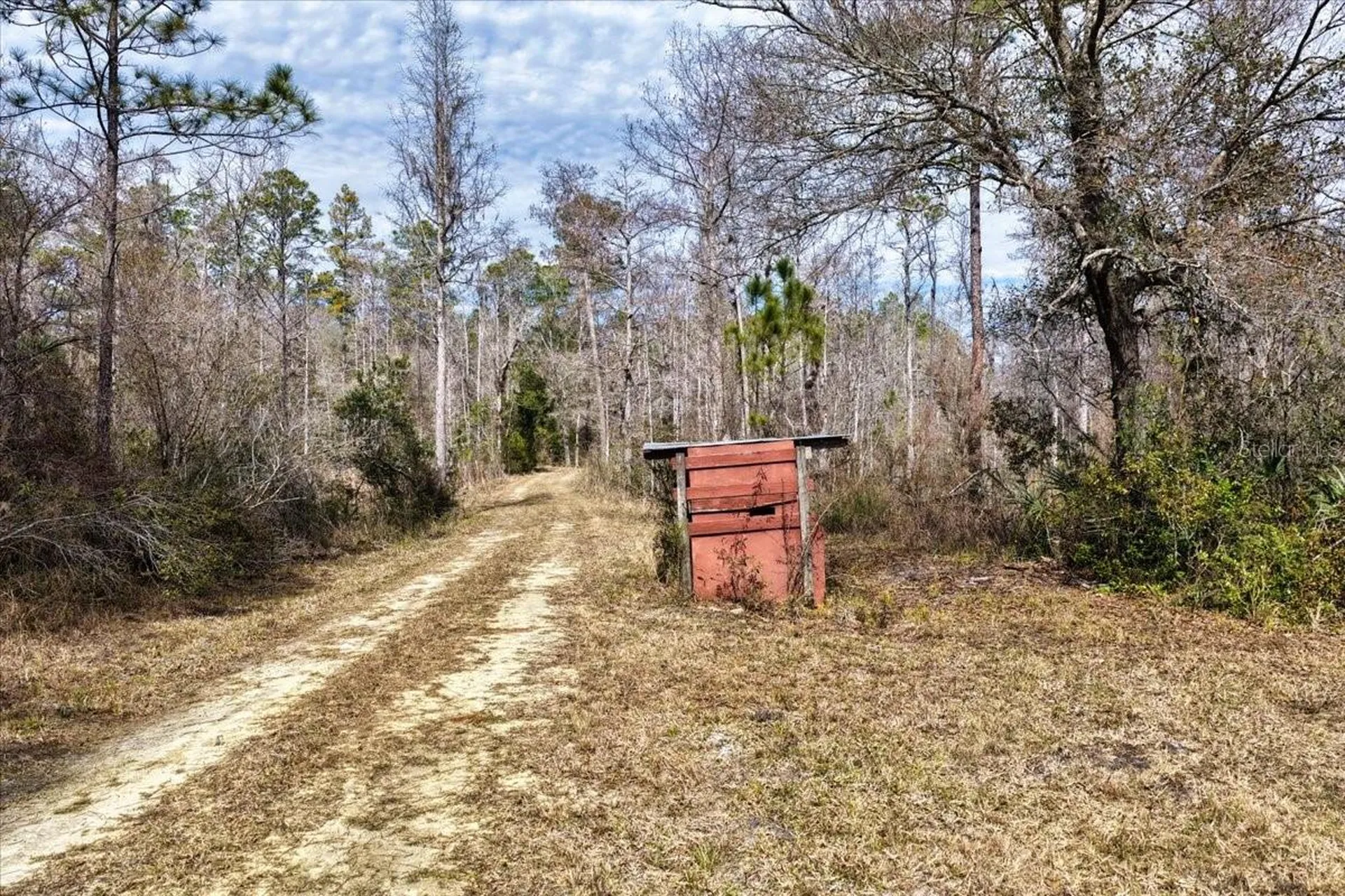 60 Acres NW Clyatt Road Chiefland FL 32626