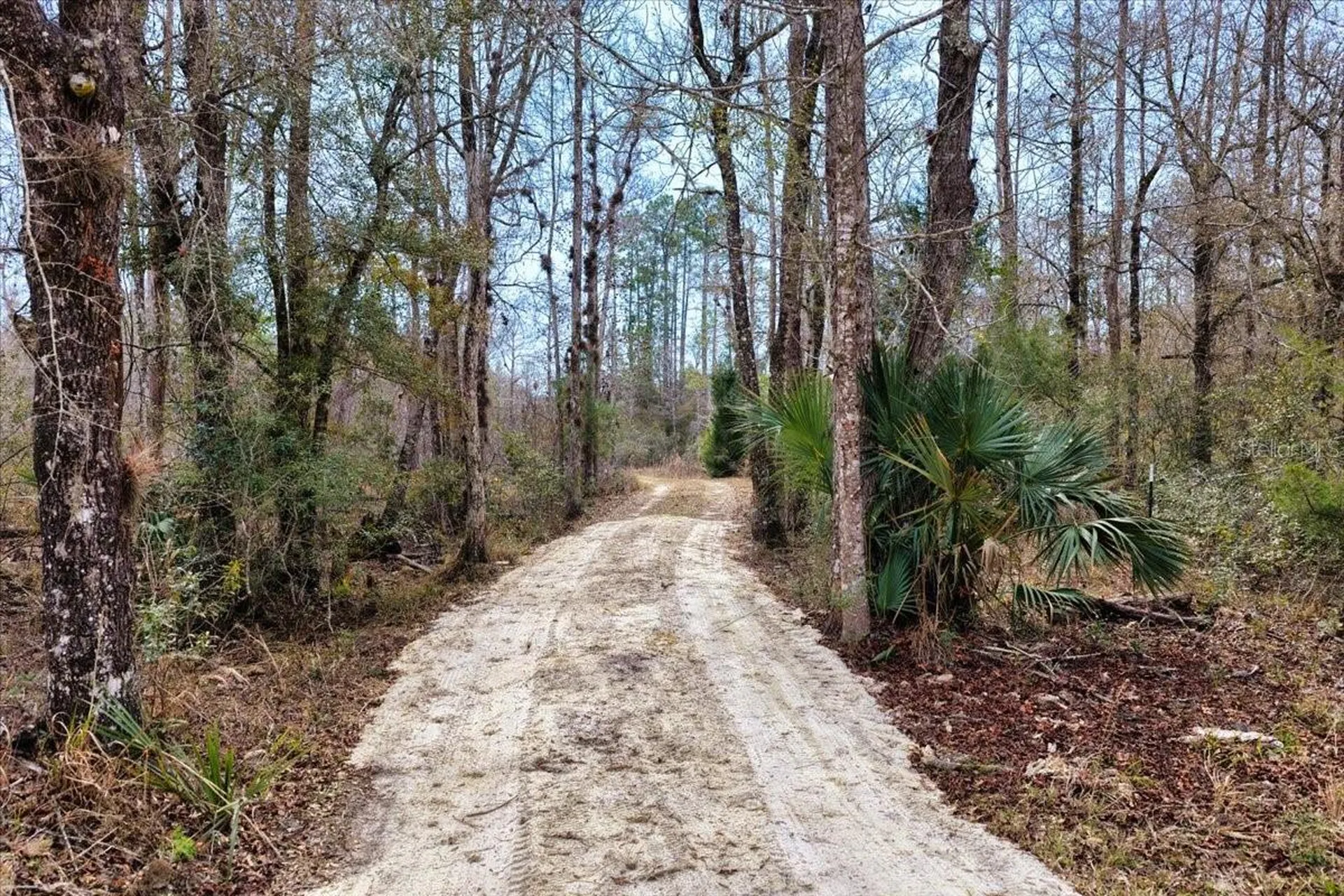 60 Acres NW Clyatt Road Chiefland FL 32626