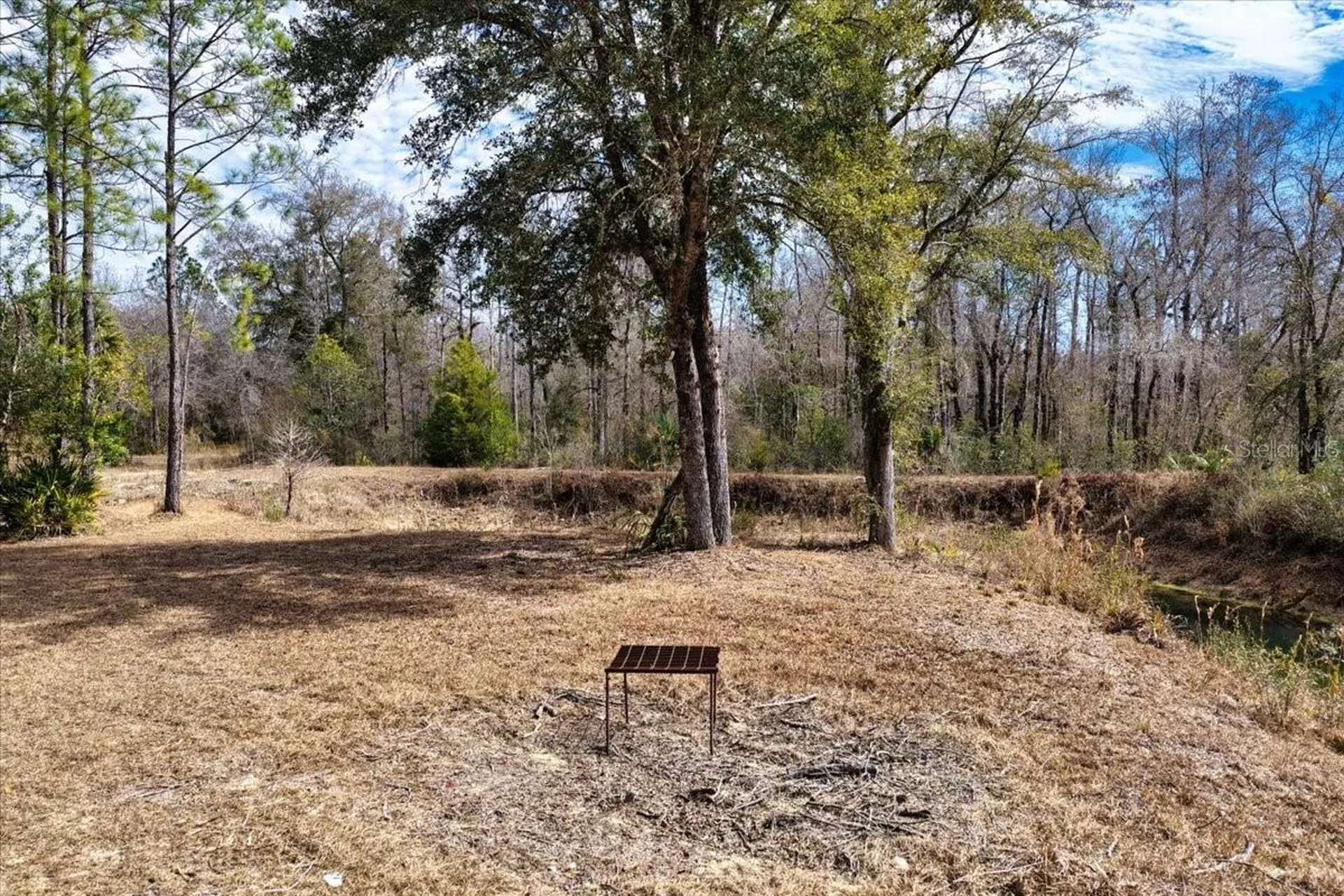 60 Acres NW Clyatt Road Chiefland FL 32626