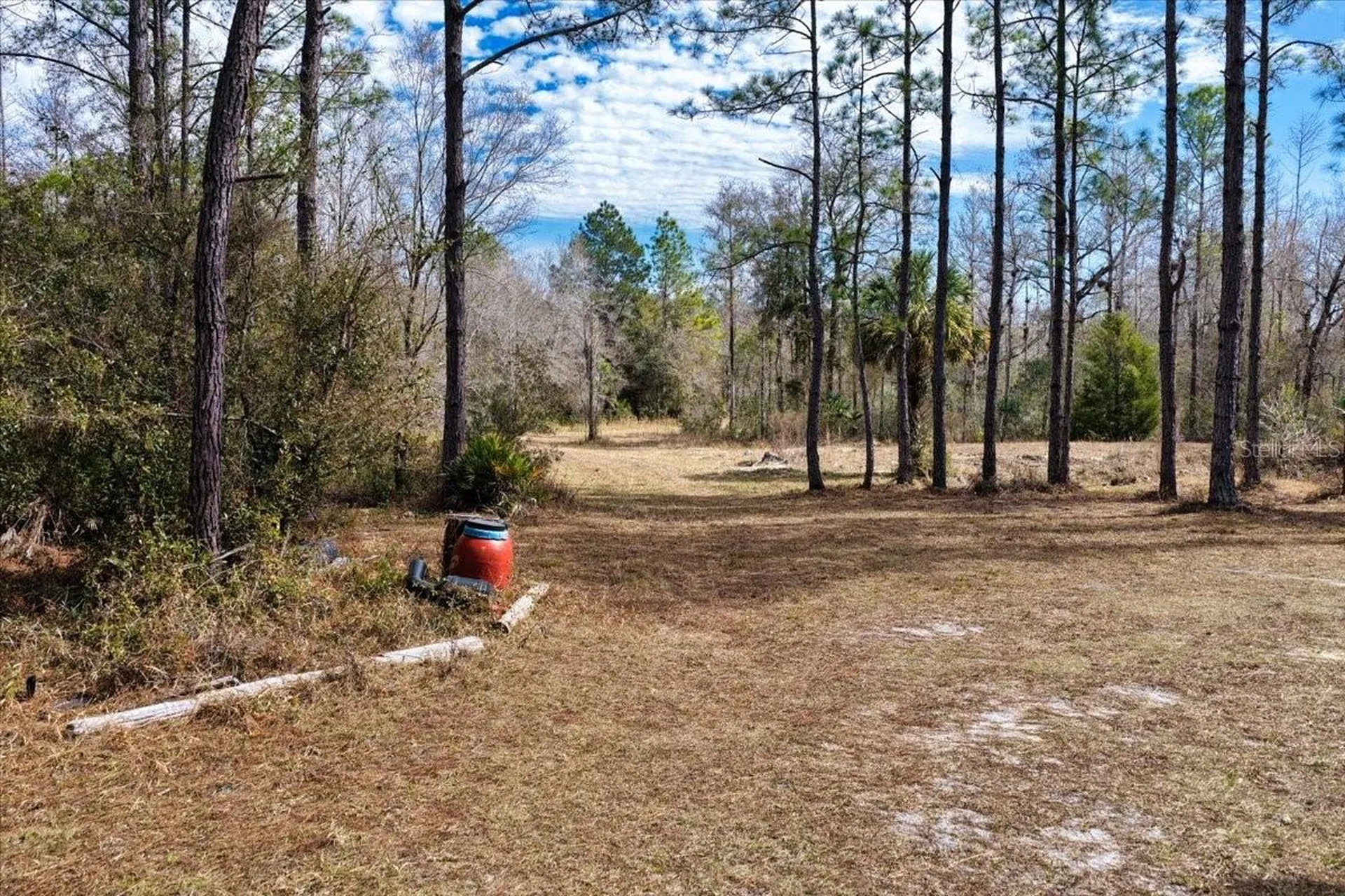 60 Acres NW Clyatt Road Chiefland FL 32626