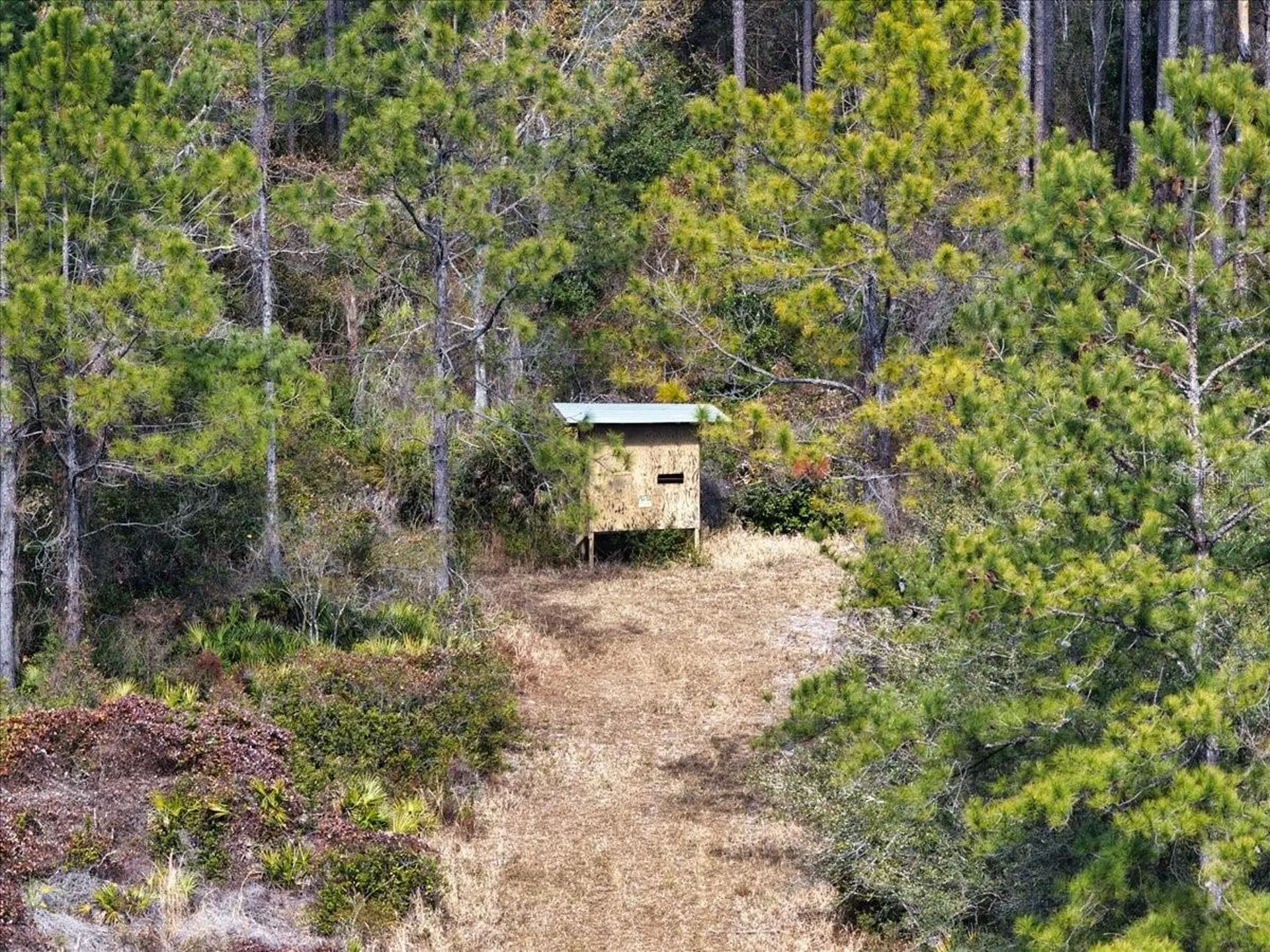 60 Acres NW Clyatt Road Chiefland FL 32626