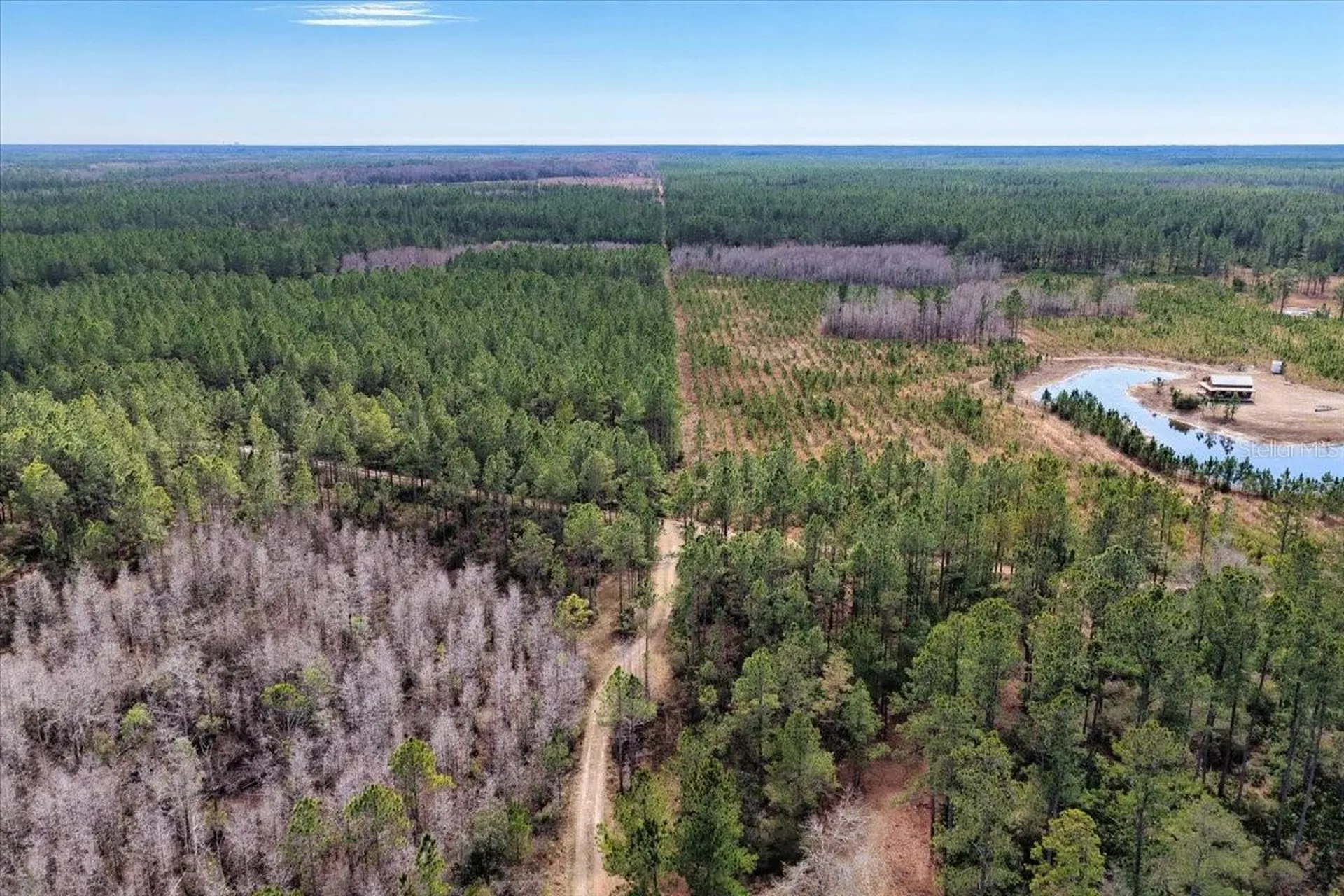 60 Acres NW Clyatt Road Chiefland FL 32626
