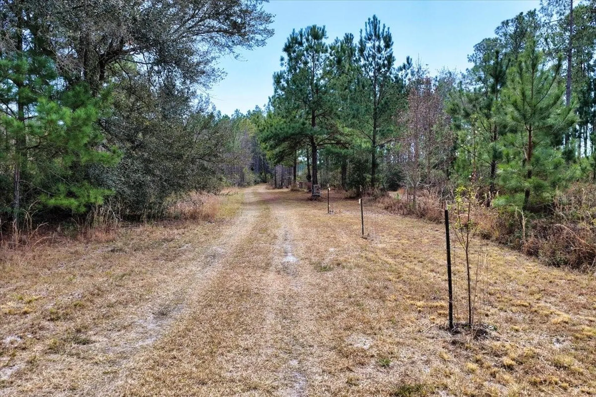 60 Acres NW Clyatt Road Chiefland FL 32626