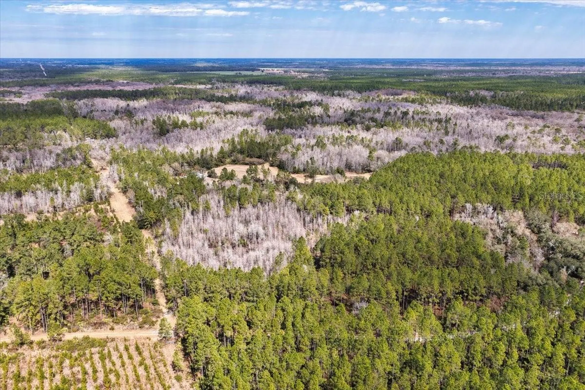 60 Acres NW Clyatt Road Chiefland FL 32626