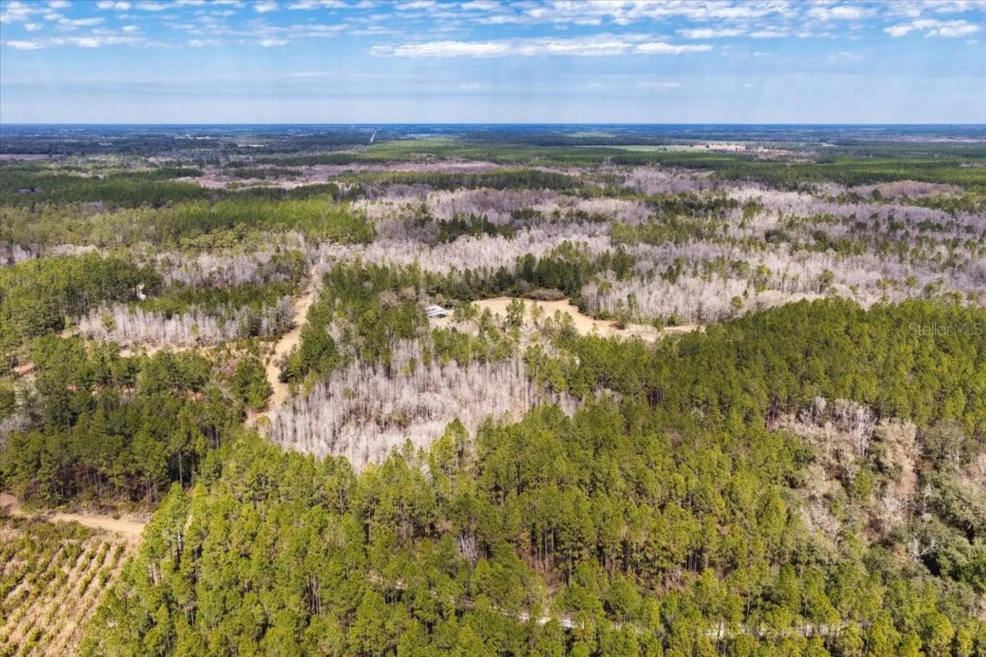 60 Acres NW Clyatt Road Chiefland FL 32626