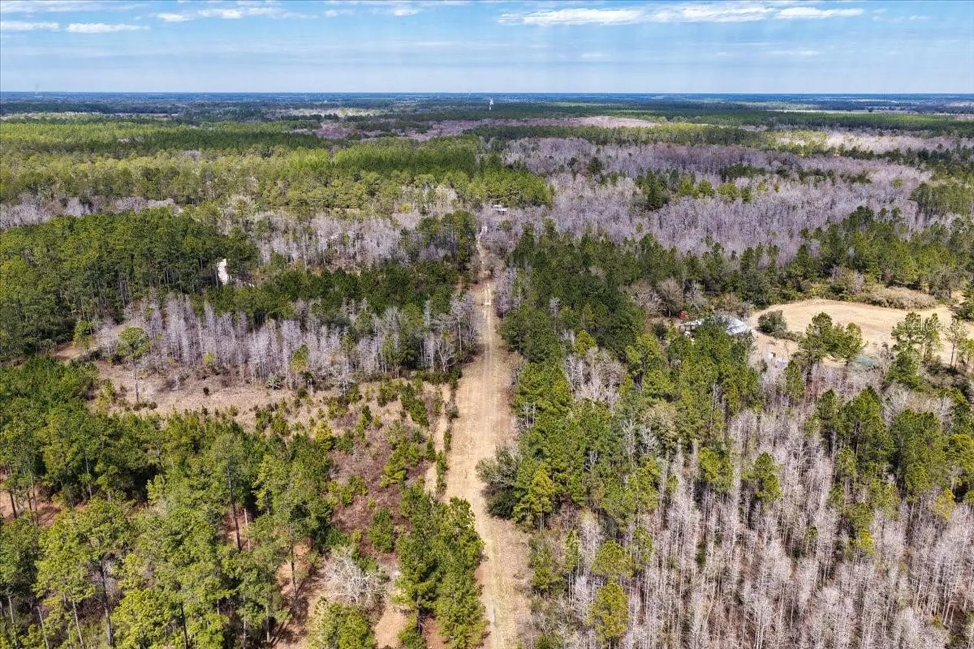 60 Acres NW Clyatt Road Chiefland FL 32626