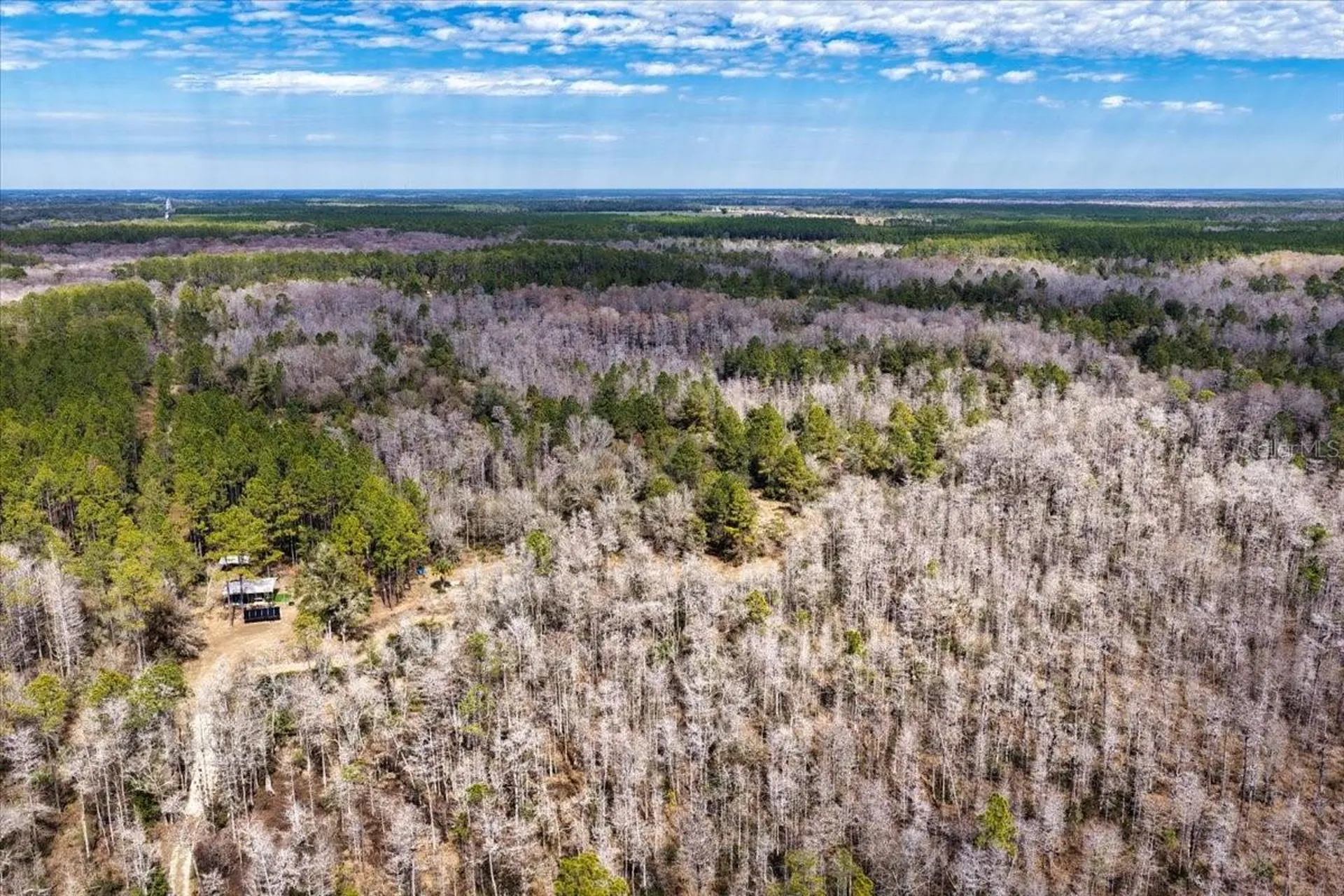60 Acres NW Clyatt Road Chiefland FL 32626