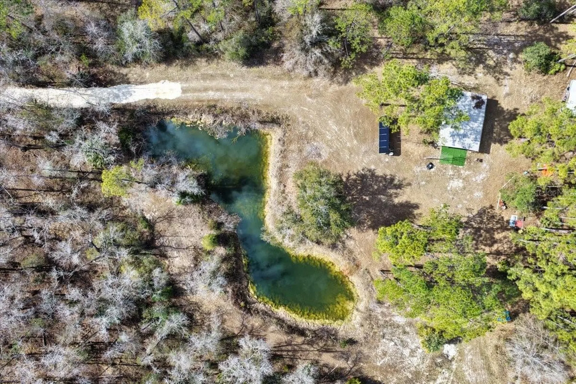 60 Acres NW Clyatt Road Chiefland FL 32626