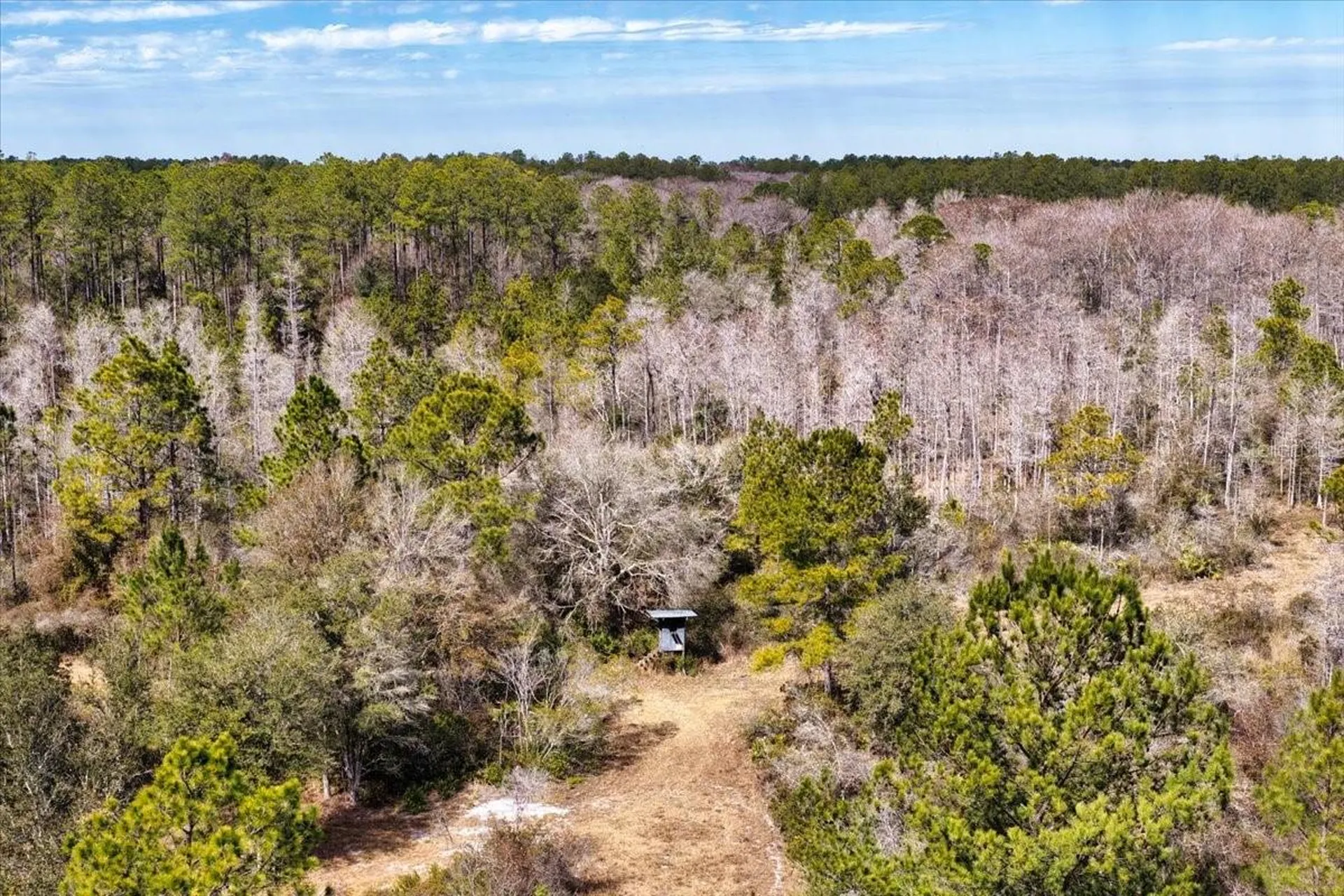 60 Acres NW Clyatt Road Chiefland FL 32626