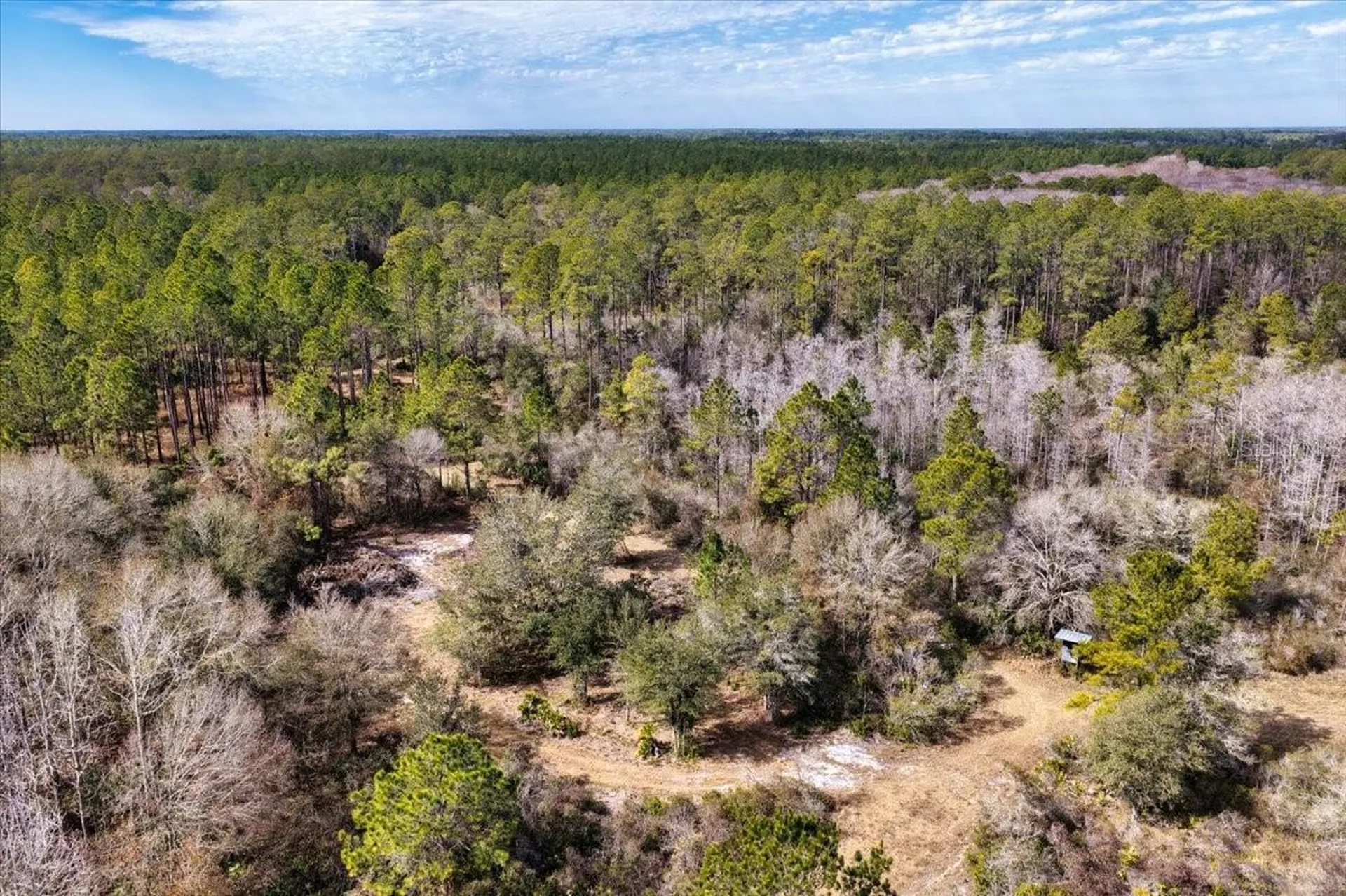 60 Acres NW Clyatt Road Chiefland FL 32626