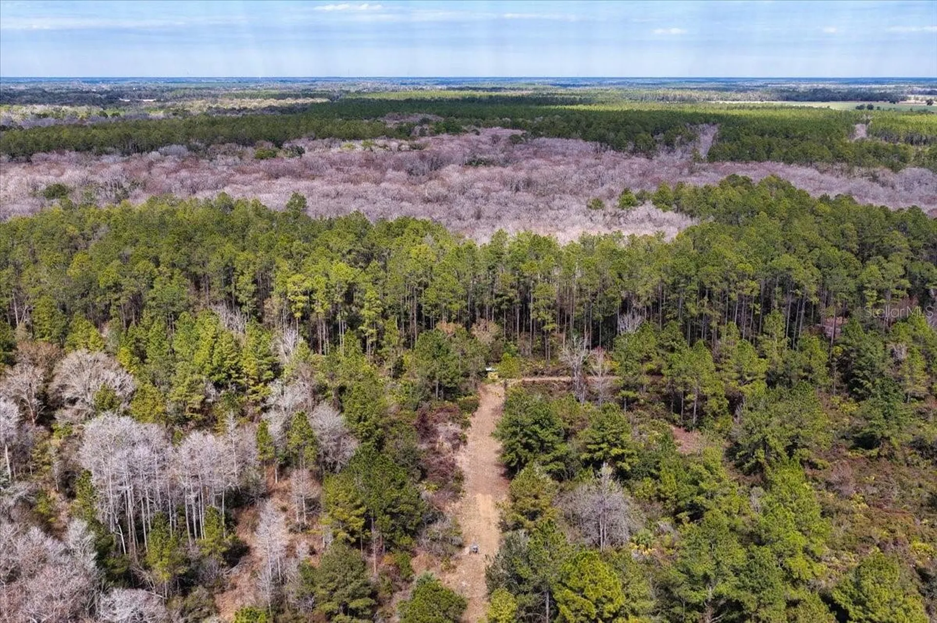 60 Acres NW Clyatt Road Chiefland FL 32626