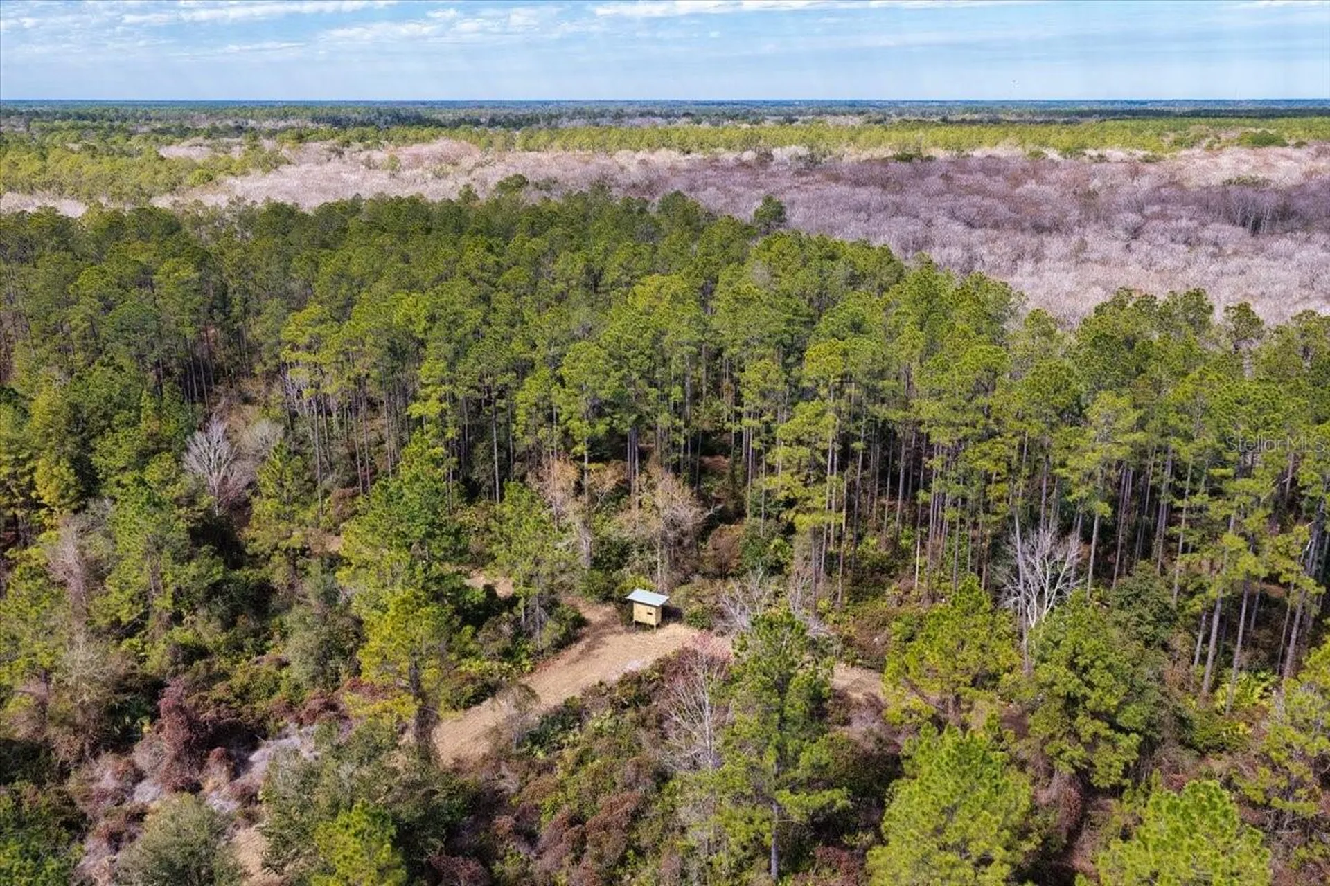 60 Acres NW Clyatt Road Chiefland FL 32626