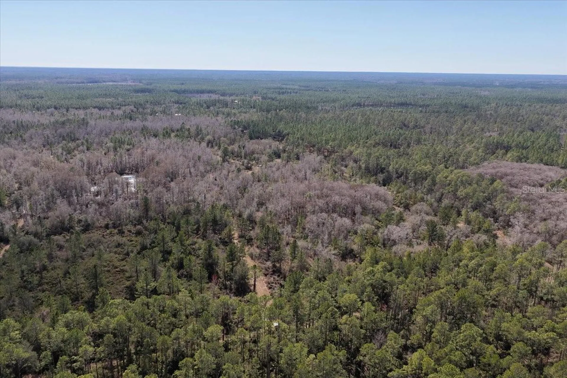 60 Acres NW Clyatt Road Chiefland FL 32626