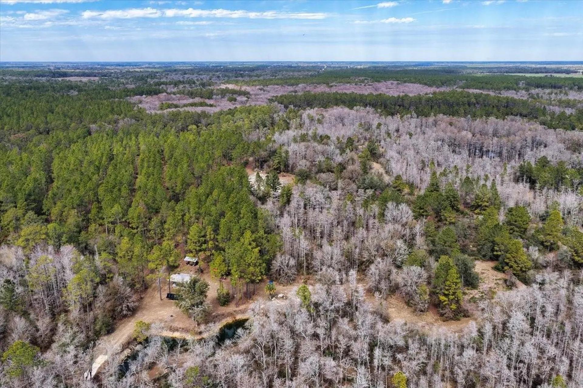 60 Acres NW Clyatt Road Chiefland FL 32626