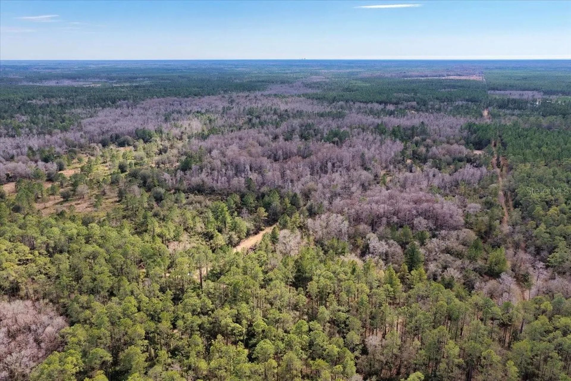 60 Acres NW Clyatt Road Chiefland FL 32626