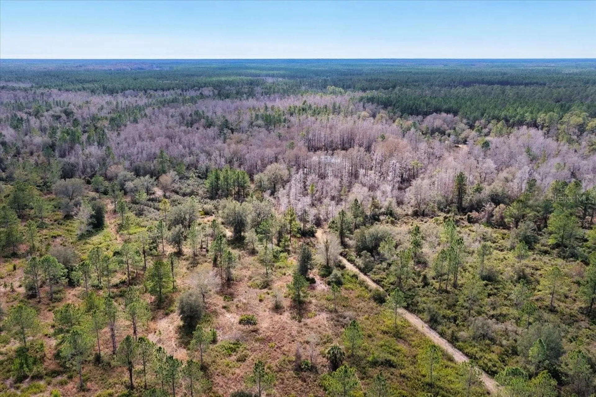 60 Acres NW Clyatt Road Chiefland FL 32626