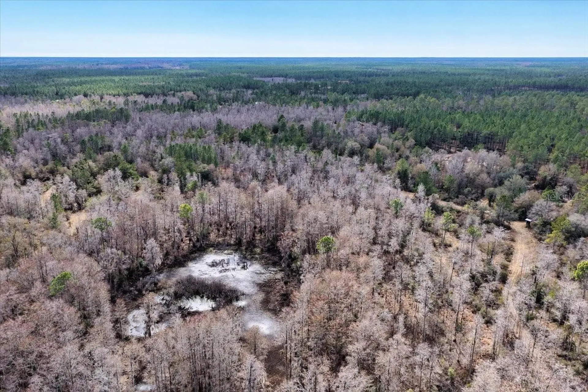 60 Acres NW Clyatt Road Chiefland FL 32626
