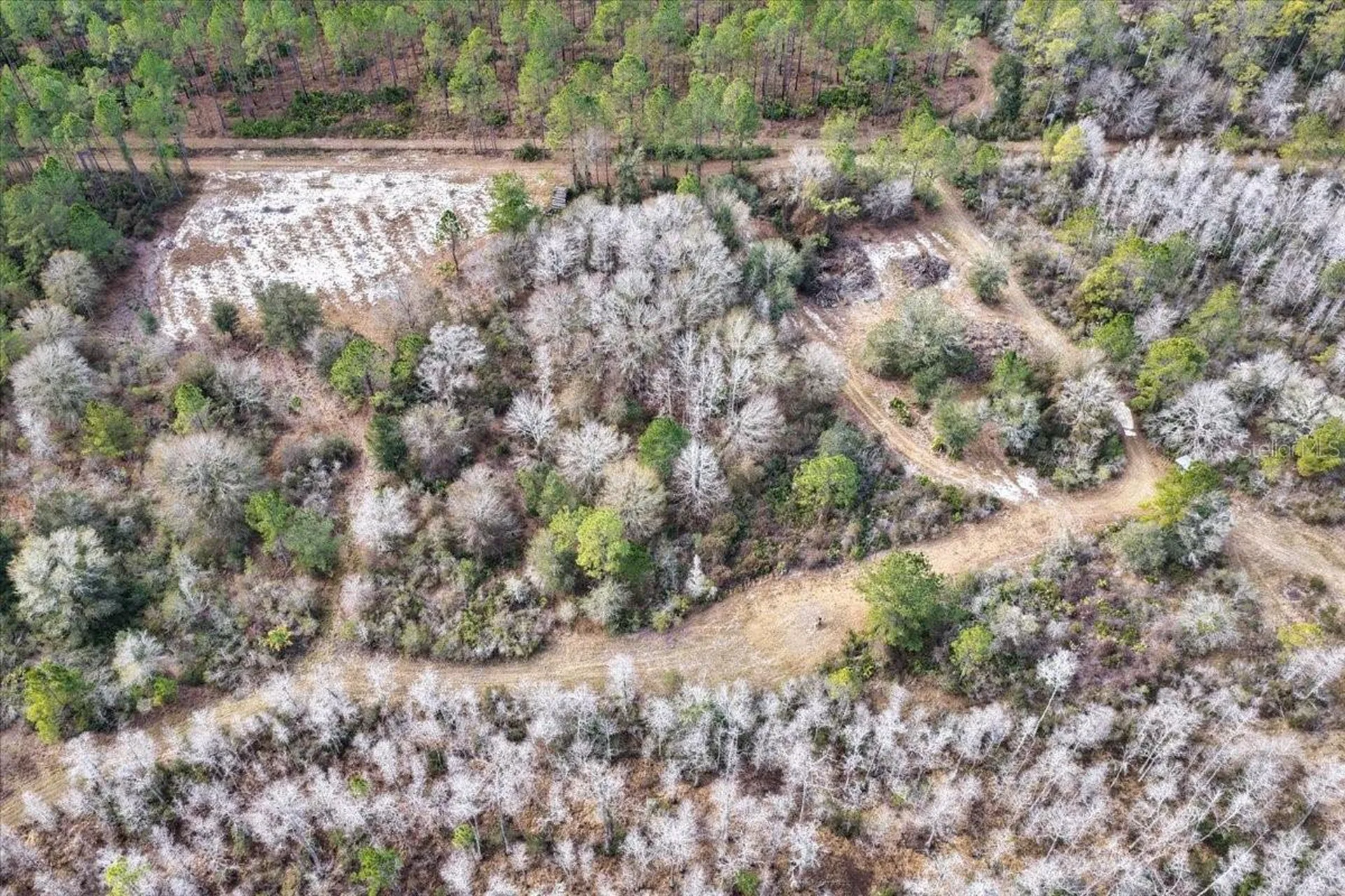 60 Acres NW Clyatt Road Chiefland FL 32626