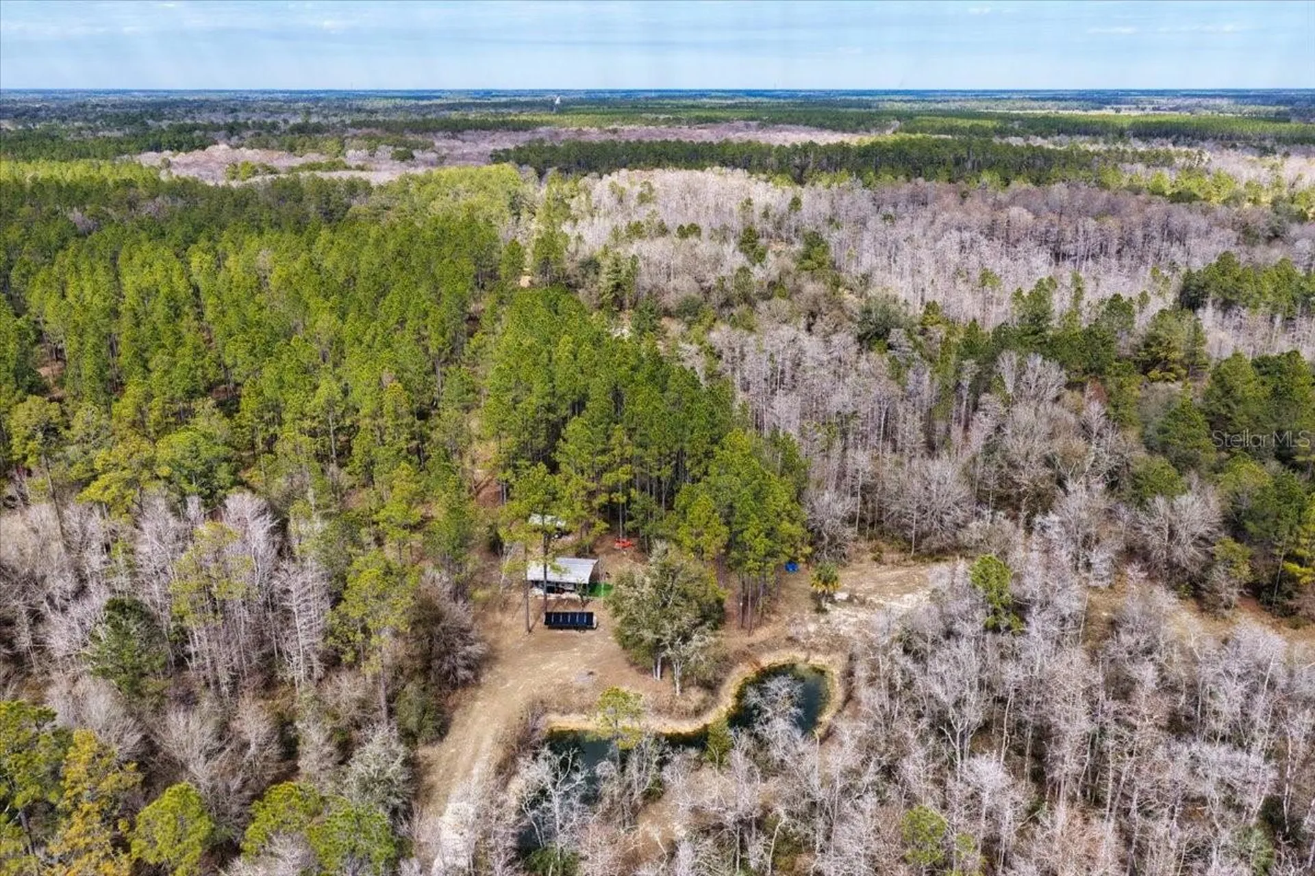 60 Acres NW Clyatt Road Chiefland FL 32626